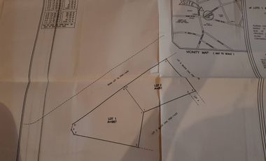 Mandaluyong SHAW BLVD Comm'l Lot 1868sqm @ P348K/sqm  Prime Location