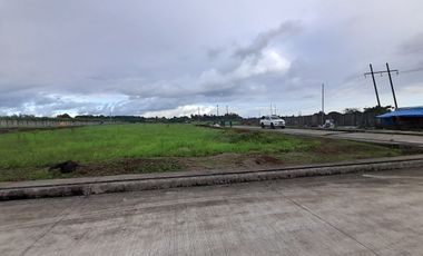 250 sqm Corner Residential Lot For Sale in Ormoc City, Leyte with Ormoc Bay View