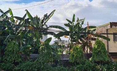 Prime Commercial Vacant Lot for Rent at San Antonio Village, Makati City