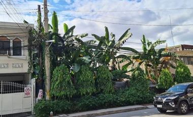 Prime Commercial Vacant Lot for Rent at San Antonio Village, Makati City