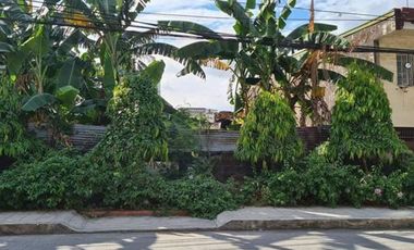 Prime Commercial Vacant Lot for Rent at San Antonio Village, Makati City