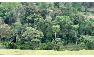 Lote en Venta en El Retiro