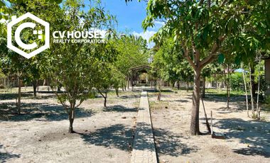 Invest in Relaxation: Farm Resort For Sale