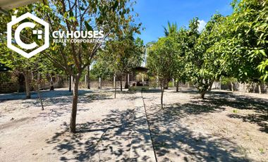 Invest in Relaxation: Farm Resort For Sale