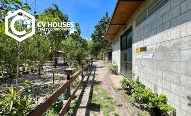 Invest in Relaxation: Farm Resort For Sale