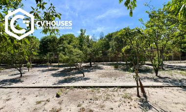 Invest in Relaxation: Farm Resort For Sale