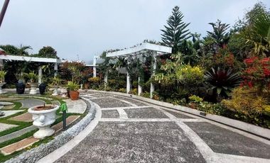 Never Ending Relaxation View? Click Me Now!!!