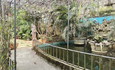 Never Ending Relaxation View? Click Me Now!!!