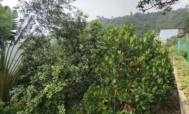 Never Ending Relaxation View? Click Me Now!!!