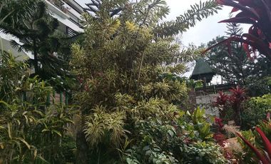 Never Ending Relaxation View? Click Me Now!!!