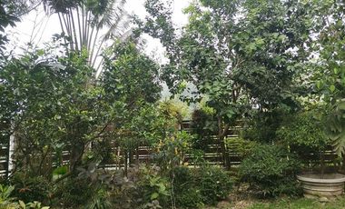 Never Ending Relaxation View? Click Me Now!!!