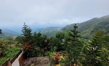 Never Ending Relaxation View? Click Me Now!!!
