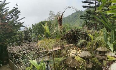 Never Ending Relaxation View? Click Me Now!!!