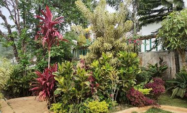 Never Ending Relaxation View? Click Me Now!!!