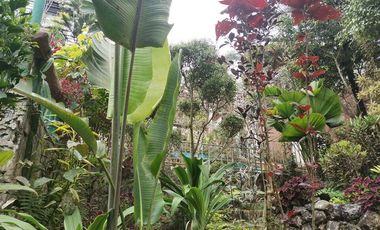 Never Ending Relaxation View? Click Me Now!!!
