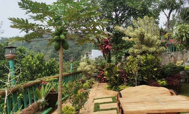Never Ending Relaxation View? Click Me Now!!!