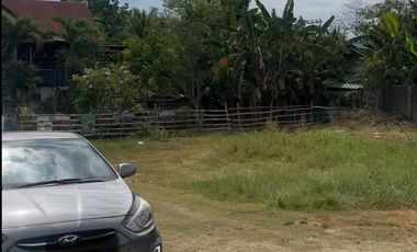 Damortis Lot for Sale 