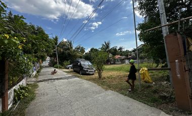 Damortis Lot for Sale 