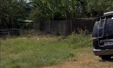 Damortis Lot for Sale 