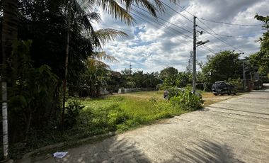 Damortis Lot for Sale 