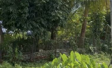 Damortis Lot for Sale 