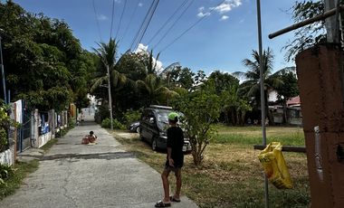 Damortis Lot for Sale 