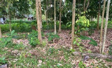 1,222 Sqm. Lot Property for Sale at Valencia, Negros Oriental