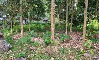 1,222 Sqm. Lot Property for Sale at Valencia, Negros Oriental