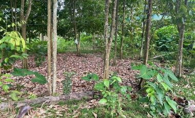 1,222 Sqm. Lot Property for Sale at Valencia, Negros Oriental