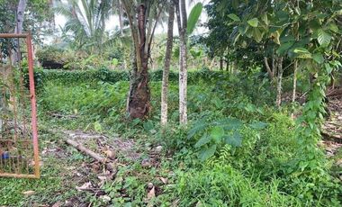 1,222 Sqm. Lot Property for Sale at Valencia, Negros Oriental