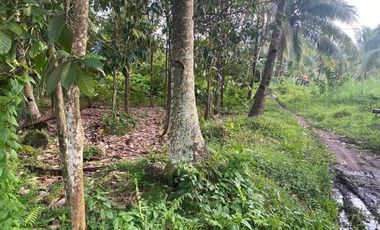 1,222 Sqm. Lot Property for Sale at Valencia, Negros Oriental