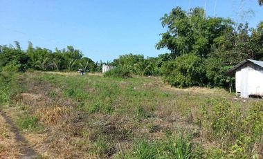 43,796 Sqm. Farm Land For Sale With Structures For Piggery At Dauin