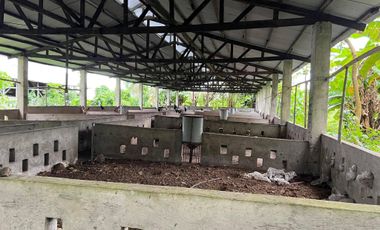 43,796 Sqm. Farm Land For Sale With Structures For Piggery At Dauin