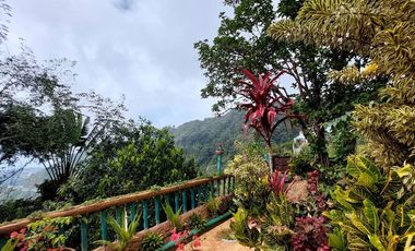 Country Home, Vacation Sanctuary and Full Amenities For Sale in Tuba