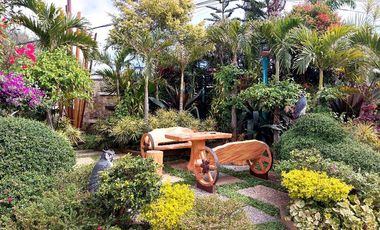 Country Home, Vacation Sanctuary and Full Amenities For Sale in Tuba