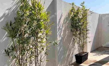 House and Lot FOR SALE at Manaoag, Pangasinan