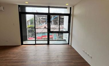 Better Living Parañaque Barangay Don Bosco Brand New Modern House For Sale