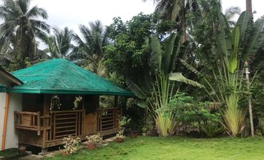 Resort For Sale in San Luis, Baler, Aurora, Quezon Near Ditumabo Mother Falls