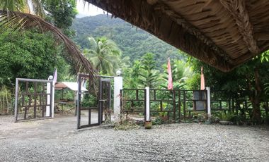 Resort For Sale in San Luis, Baler, Aurora, Quezon Near Ditumabo Mother Falls