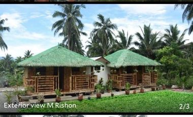 Resort For Sale in San Luis, Baler, Aurora, Quezon Near Ditumabo Mother Falls