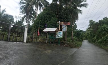 Resort For Sale in San Luis, Baler, Aurora, Quezon Near Ditumabo Mother Falls