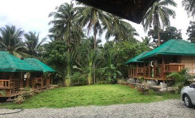 Resort For Sale in San Luis, Baler, Aurora, Quezon Near Ditumabo Mother Falls