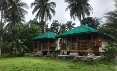 Resort For Sale in San Luis, Baler, Aurora, Quezon Near Ditumabo Mother Falls