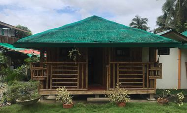 Resort For Sale in San Luis, Baler, Aurora, Quezon Near Ditumabo Mother Falls