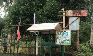 Resort For Sale in San Luis, Baler, Aurora, Quezon Near Ditumabo Mother Falls