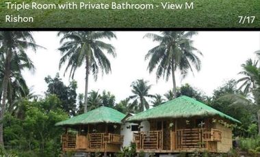 Resort For Sale in San Luis, Baler, Aurora, Quezon Near Ditumabo Mother Falls
