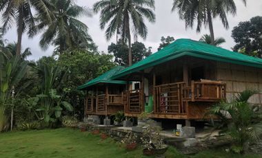 Resort For Sale in San Luis, Baler, Aurora, Quezon Near Ditumabo Mother Falls