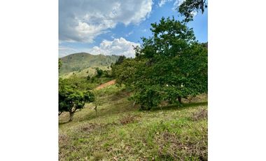 Lote en venta corregimiento Santa Inés Yumbo-Valle AMS. 9214916