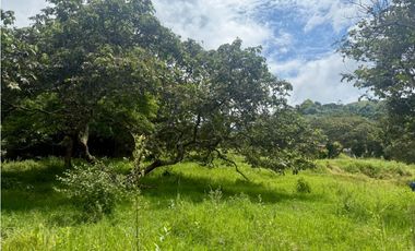 Lote en venta corregimiento Santa Inés Yumbo-Valle AMS. 9214916