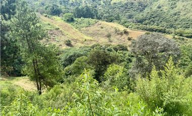 Lote en venta corregimiento Santa Inés Yumbo-Valle AMS. 9214916